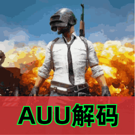 绝地求生AUU解码(en)