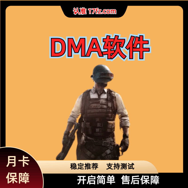 绝地求生DMA辅助(en)