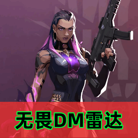 无畏契约DM雷达