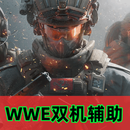 三角洲WWE双机辅助(en)